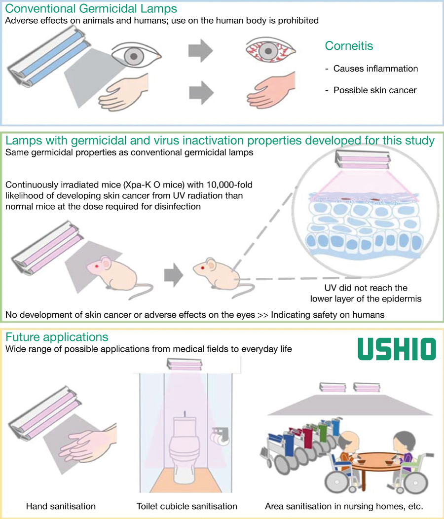 222 nm UV-C irradiation safety diagram