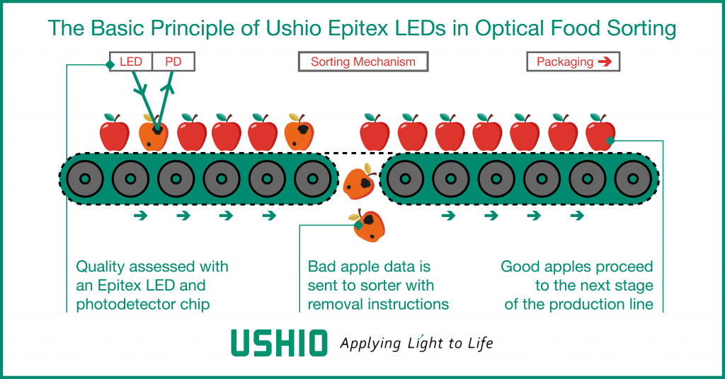 The basic principle of Ushio Epitex LEDs in optical food sorting applications