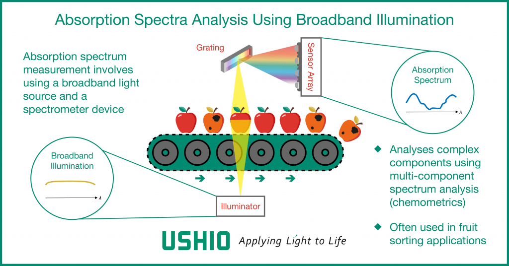 Absorption spectra analysis using broadband illumination in food sorting applications