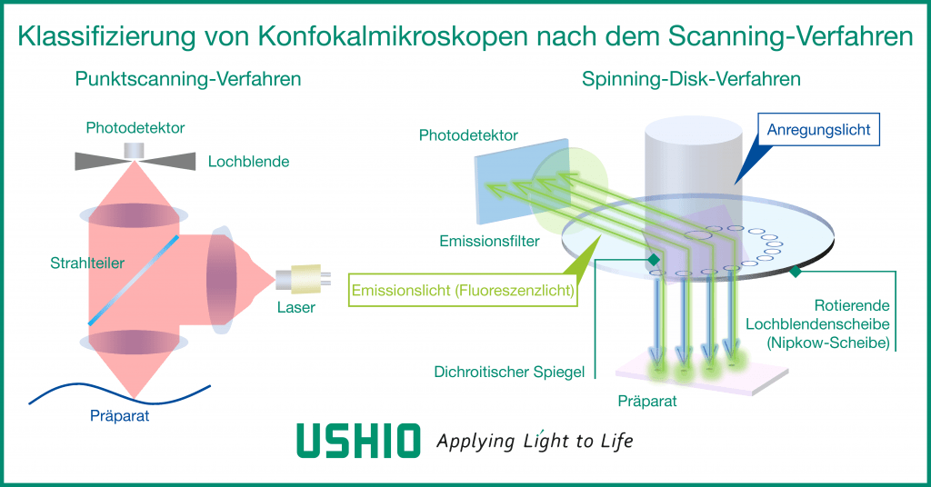 Klassifizierung von Konfokale Laser-Scanning-Mikroskopie nach dem Scanning-Verfahren