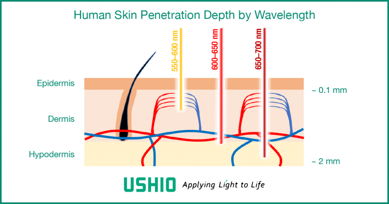 Human Skin Penetration of Various Lasing Wavelengths